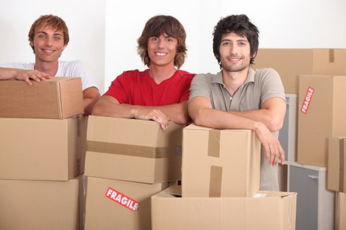 Packing materials and moving boxes prepared for a Bermondsey home move
